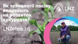 Як технології посіву впливають на розвиток кукурудзи LNZ Hub 3 0 #3