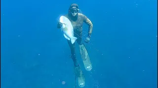 EP 10 - Spearfishing in Winter - Western Australia