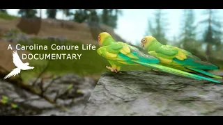Carolina Conure - Short Documentary (Roblox Cenozoic Survival)