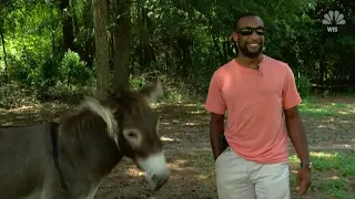 South Carolina man and his donkey go viral for singing "Circle of Life"