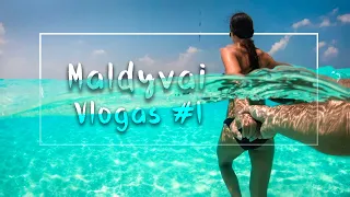 Maldyvai su Makalium. Maafushi sala - vlogas #1