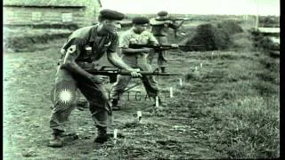 United States special forces troops fire in Vietnam. HD Stock Footage