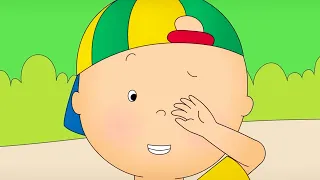 Peekaboo | Caillou Cartoon