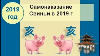 Самонаказание Свиньи в 2019 году