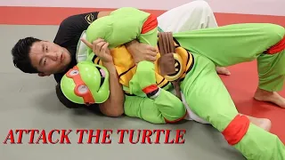 Attacking the Turtle, Happy Halloween!