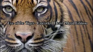 Eye Of The Tiger - Heavy Metal Edition / Survivor
