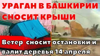 Ураган в Башкирии сносит крыши и валит деревья на автомобили 14 апреля 2023