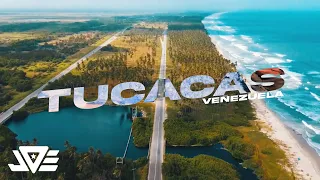 TUCACAS BEACH SESSION - Deejay Joe (Gonzalo Bday)