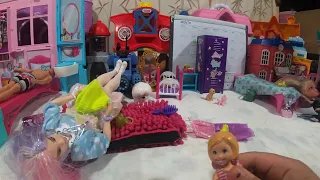 Barbie Chelsea Playhouse with pets and Accessories