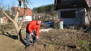 Что делать в саду в апреле  Первые работы в саду