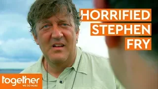 Stephen Fry Horrified by Candiru Fish | Last Chance to See