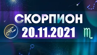 Гороскоп на 20.11.2021 СКОРПИОН