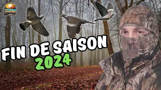 Chasse aux pigeons ramiers janvier 2024