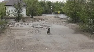 Вода на дачах в Уральске спадает, последствия и помощь. 6 мая. 2024г.