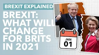 10 Things Brexit Changes for Brits in 2021 🇬🇧 What You Need to Know Before January 1st - TLDR News