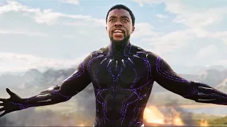 Black Panther : Final Battle Scene [Hindi] | Black Panther Final Action Scene In Hindi