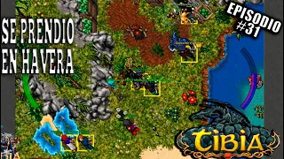 EL BOMBITA TANKEA A LOS LV 1000 #tibia #funny #foryou #gaming #memes #fypシ