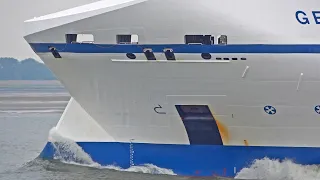 AWESOME 4K SHIPSPOTTING AT WALSOORDEN WESTERSCHELDE NETHERLANDS 2023