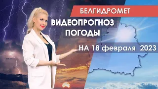 Видеопрогноз погоды по областным центрам Беларуси на 18 февраля 2023 года