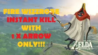 Zelda BOTW : Fire Wizzrobe INSTANT KILL with 1 arrow only!