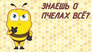 Док. фильм Молчание пчел/Silence of the Bees. Когда исчезнут пчелы? Зарубежное пчеловодство