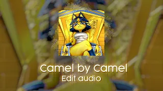 Camel By Camel - Edit audio (ankha zone)