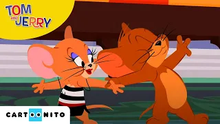 Tom and Jerry | Grappige momenten met Jerry seizoen 1, deel 3 | Cartoonito