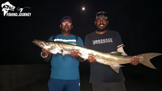 FISHING IN DANGEROUS SPOT CATCH TWO BARRACUDA | JETTY FISHING | FISHING JOURNEY