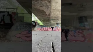 Handplant on bank #shorts #skateboarding #skating #trending