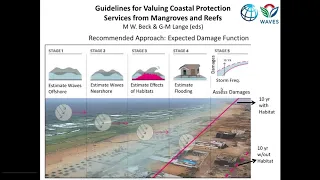 Reducing Coastal Risk with Natural Defenses