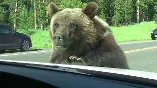 Эти Случаи на Дороге Вы Запомните Надолго! Топ 10