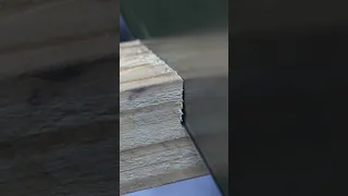 Stanley FatMax wood saw test