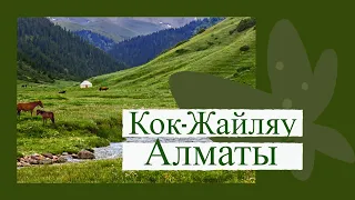 Поход на Кок Жайляу Алматы Казахстан