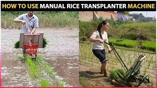 How to use Manual Rice Transplanter Machine | Rice / Paddy Planting Machine