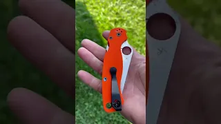 Spyderco pm2 in m4 with factory scales.
