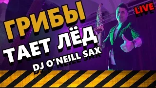 Грибы - Тает Лёд (Dj O'Neill Sax Live)