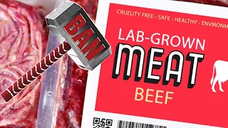 Florida Governor Signs Bill Banning Lab-Grown Meat | What You Need to Know