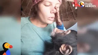 Woman Helps Scared Baby Chimp Feel Safe Again | Dodo Heroes