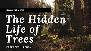 The Hidden Life of Trees: Discoveries from a Secret World | Book Review