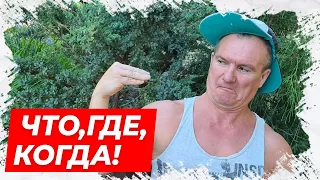 ⚡Игра что? где? когда? Анекдот про змею! Смешной анекдот!⚡