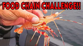 Food Chain Fishing CHALLENGE! (Spot Prawn Catch & Cook)