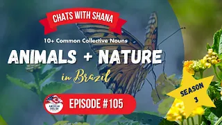 105 - Chats with Shana: Animals in Brazil (Collective Nouns in English)
