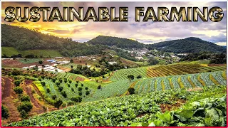 Sustainable Farming in Australia | Organic and Regenerative Agriculture