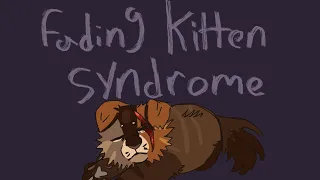 Fading Kitten Syndrome// Oc PMV 🌀