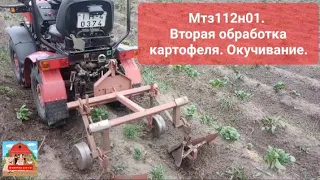 МТЗ 112Н-01. Вторая обработка картофеля. Окучивание. #МТЗ #mtz #минитрактор #мтз112