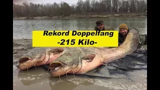 Rekord Doppelfang 215 Kilo / EVA-Upose / Haarmontage / Auslegen / Umlenken by Stefan Seuß