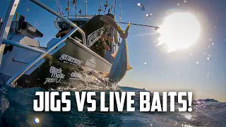 The boys' go on a Kingfish hunt and THIS is what happened - S8 EP5 Mayor Island