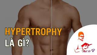 💪 Xây dựng Cơ bắp (Hypertrophy) là gì?