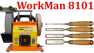 WorkMan 8101 точило с мокрым камнем. Точу стамески.