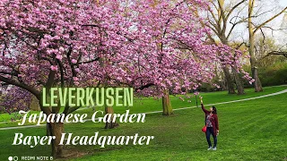 Leverkusen City Tour / Part 1 / Carl Duisberg Park / Japanese Garden / Travel Video / Bayer/Germany